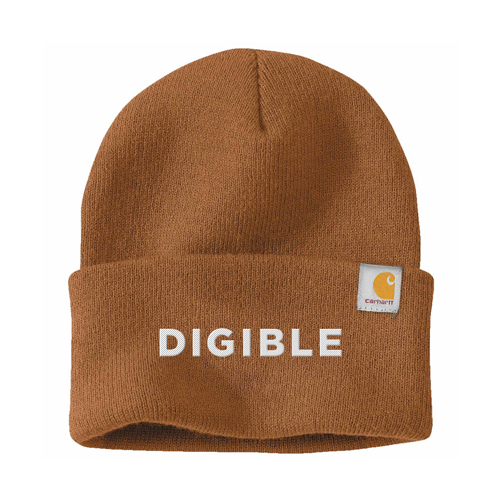 Carhartt Watch Cap 2.0