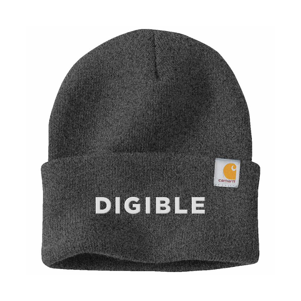 Carhartt Watch Cap 2.0 – Digible Shop